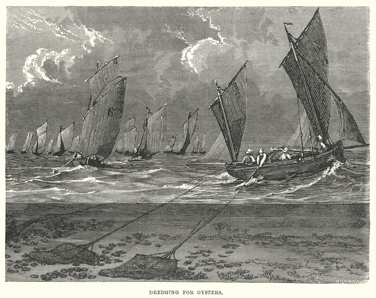 Austernbaggern von English School