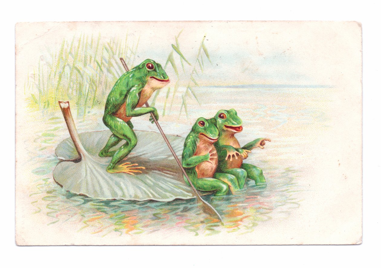 Edwardianische Postkarte von zwei Fröschen, die auf einem Seerosenboot sitzen, während ein dritter rudert, ca. 1910 von English School