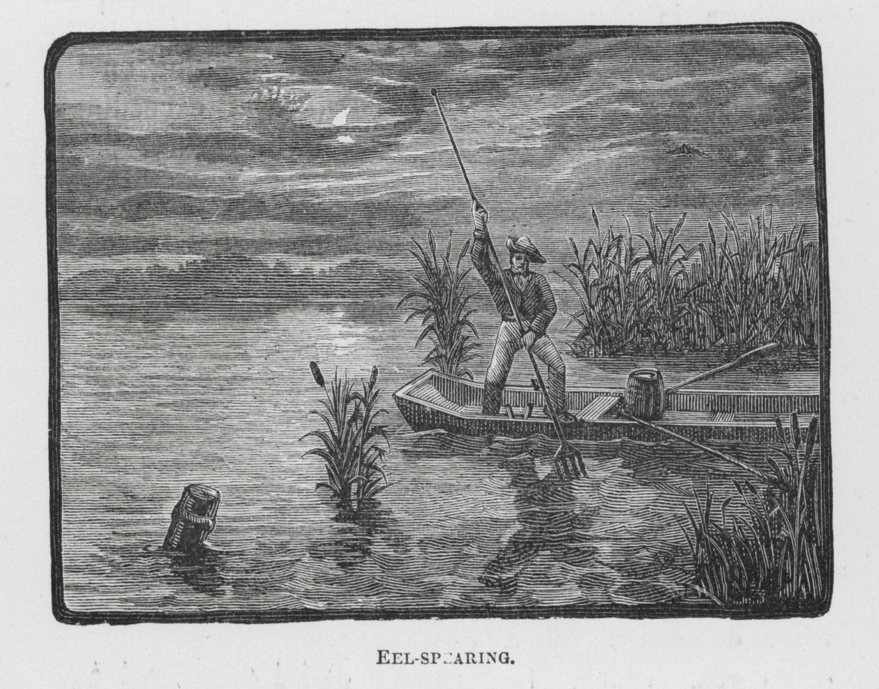 Aalstechen (Gravur) von English School