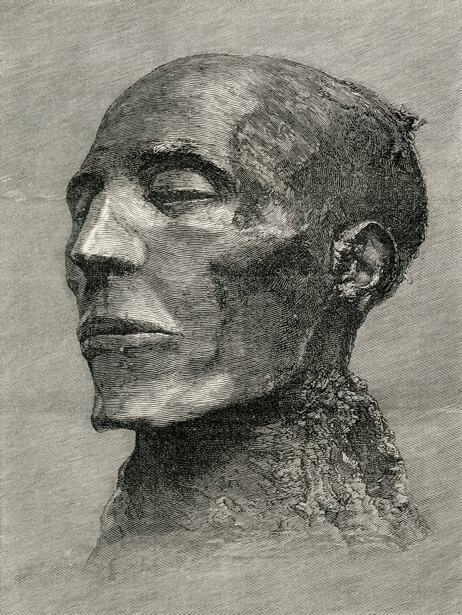 Kopf der Mumie von Menmaatre Seti I, auch bekannt als Sethos I., Pharao des Alten Ägypten, aus The Worlds Inhabitants von G.T. Bettany, veröffentlicht 1888 von English School