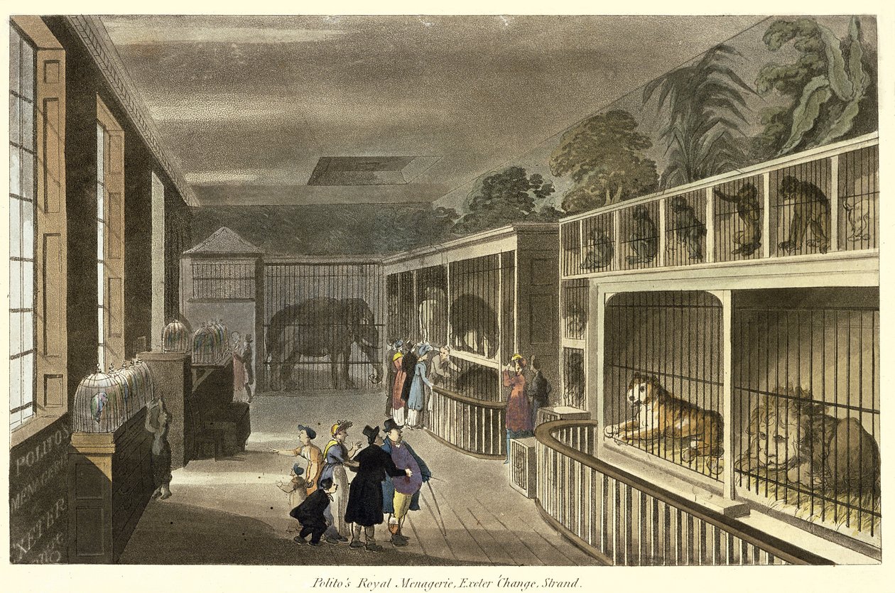 Innenansicht von Politos Royal Menagerie, Exeter Change, Strand, 1812 von English School