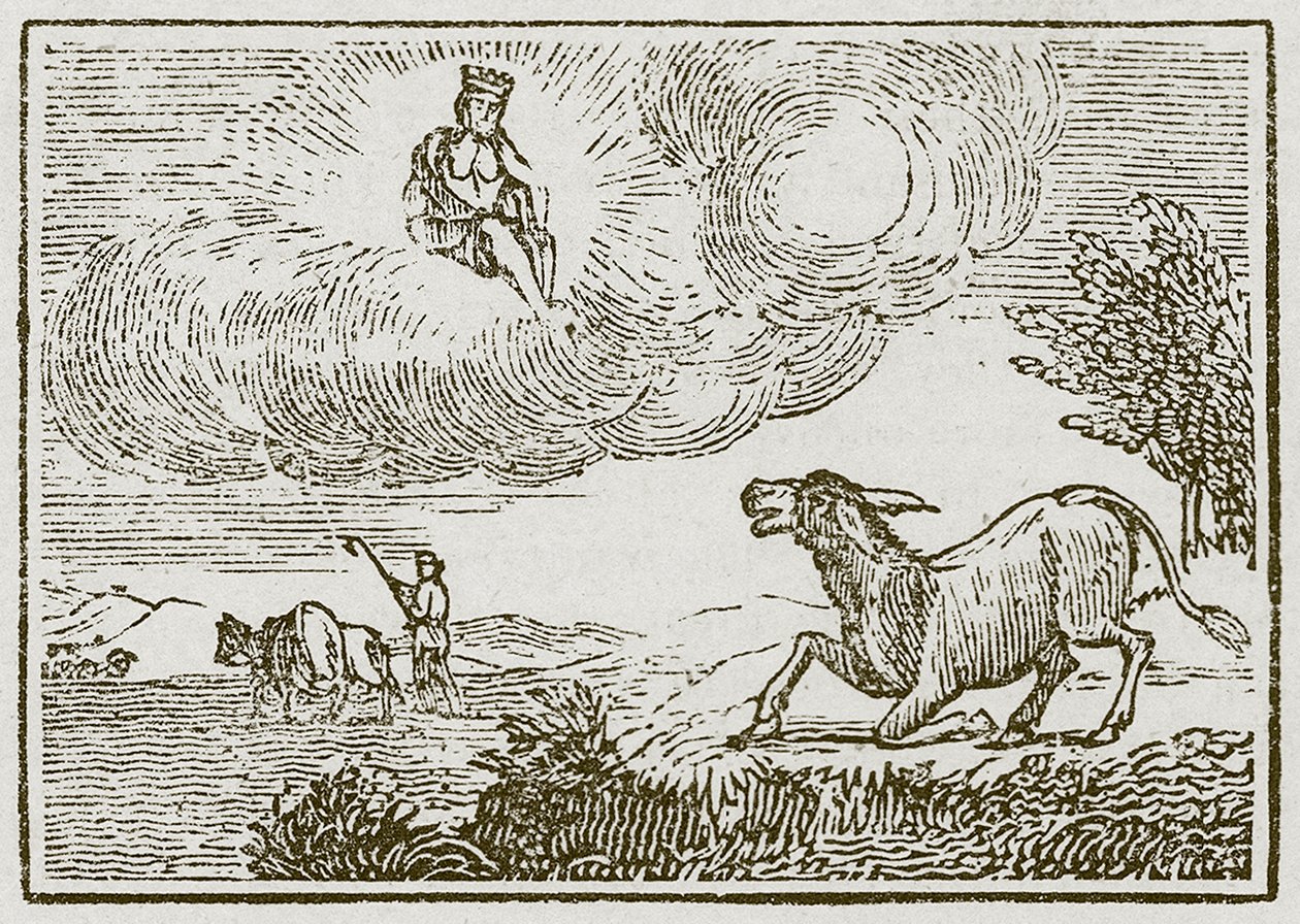 Jupiter und der Esel von English School