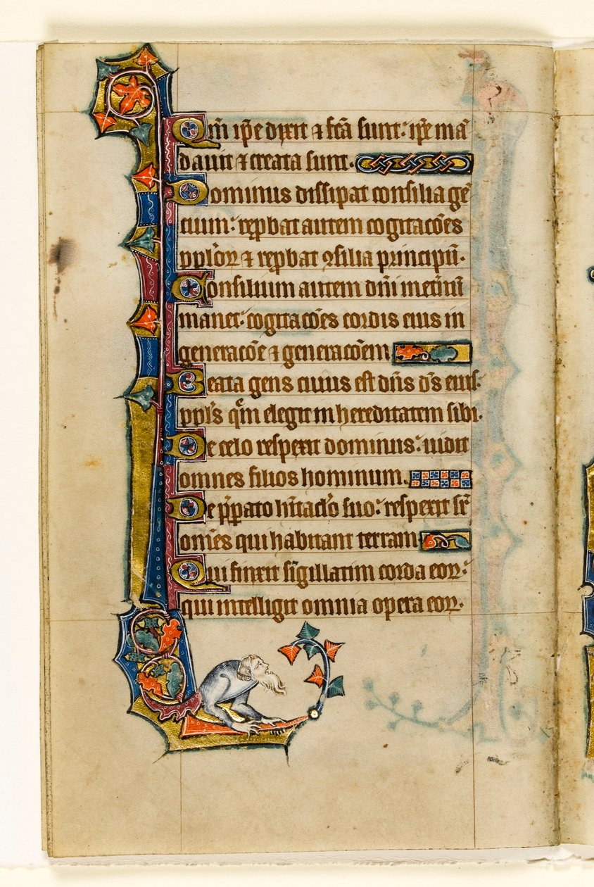 MS 1-2005, fol. 47v: Eine Groteske, Randdekoration aus dem Macclesfield Psalter, Use of Sarum, Ostanglien, um 1330 von English School