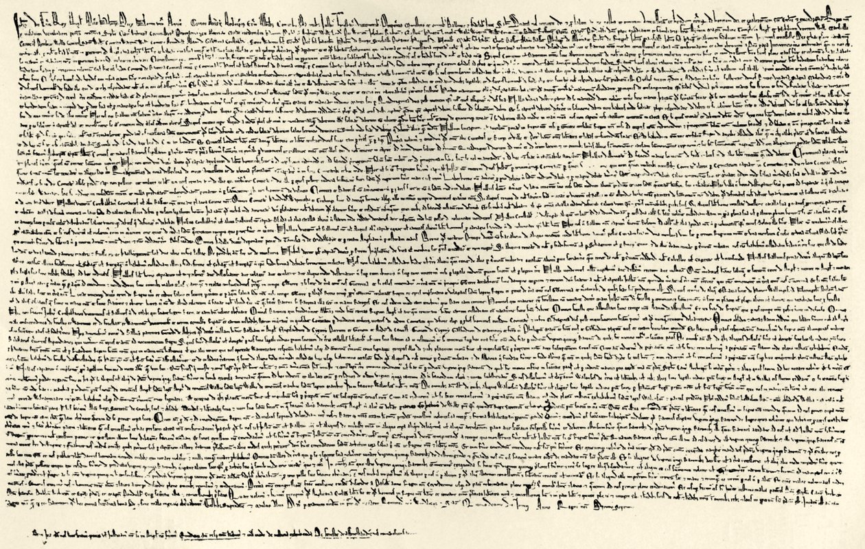 Magna Carta von English School