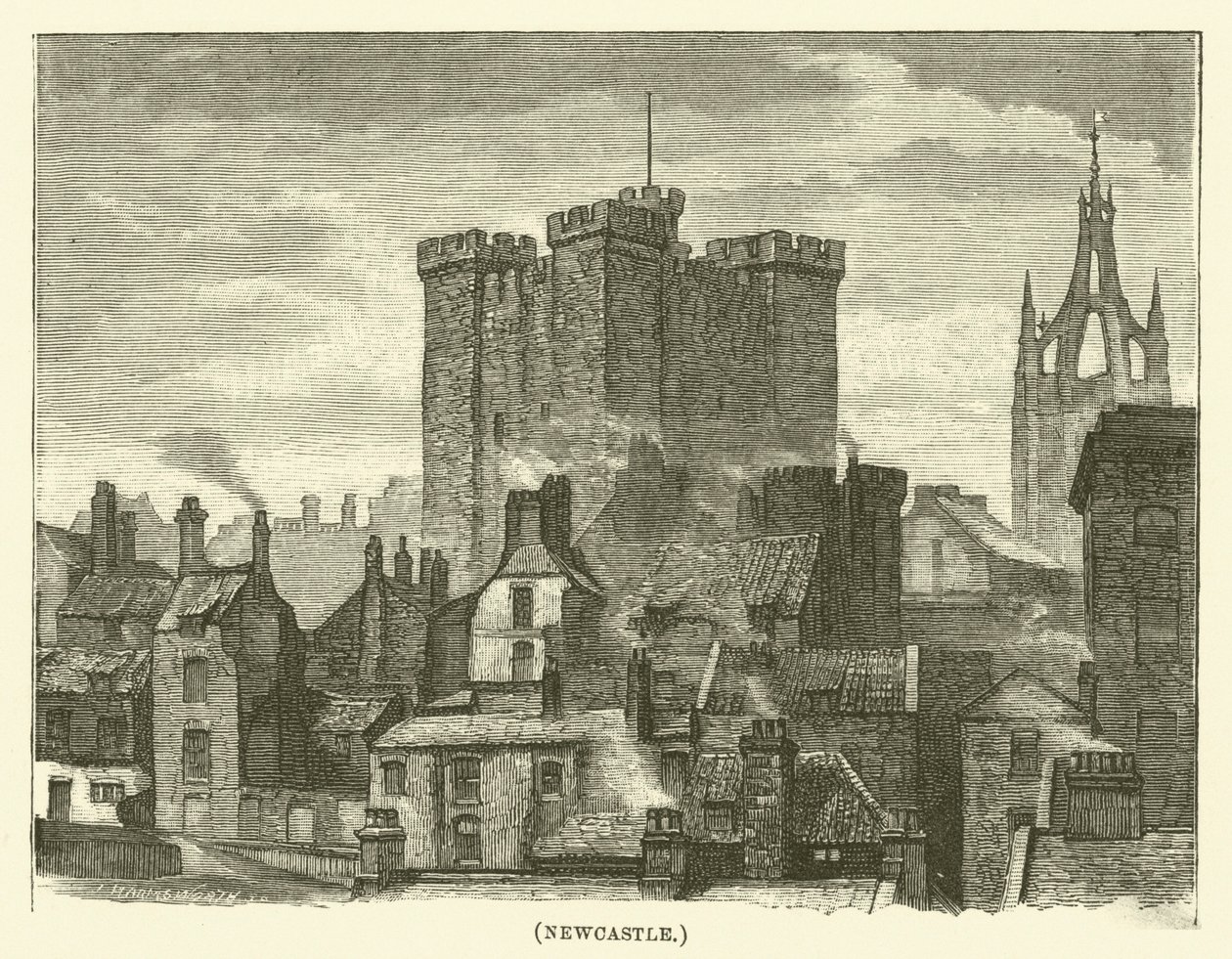 Newcastle von English School