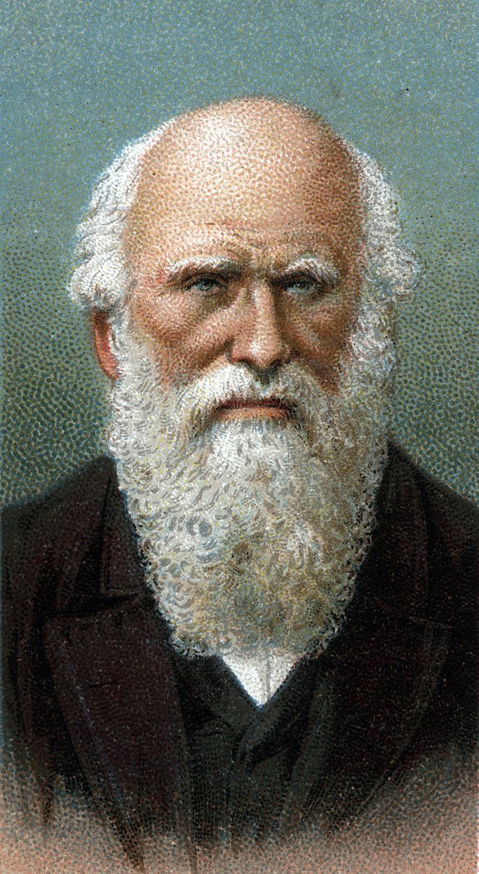 Porträt von Charles Robert Darwin (1809-1882) - Aus der Serie „Leaders of Men“ - Chromolithographie - Englische Schule, 20. Jahrhundert von English School