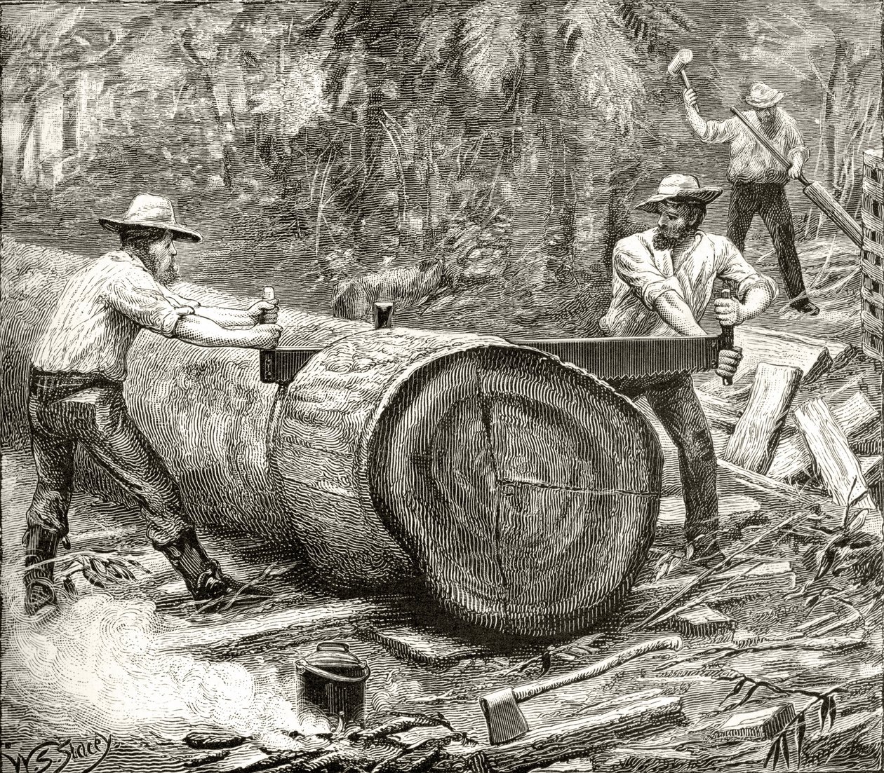 Holzspalter im Busch, um 1880, aus 
