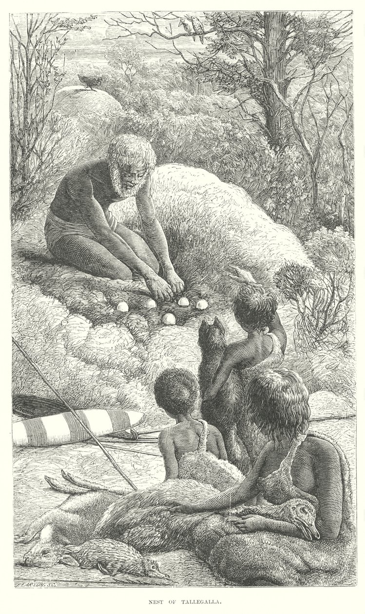 Tallegalla von English School