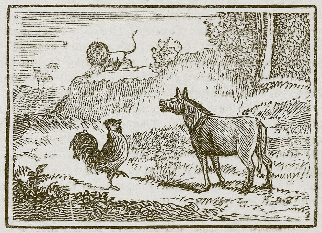 Der Esel, der Löwe und der Hahn (Gravur) von English School