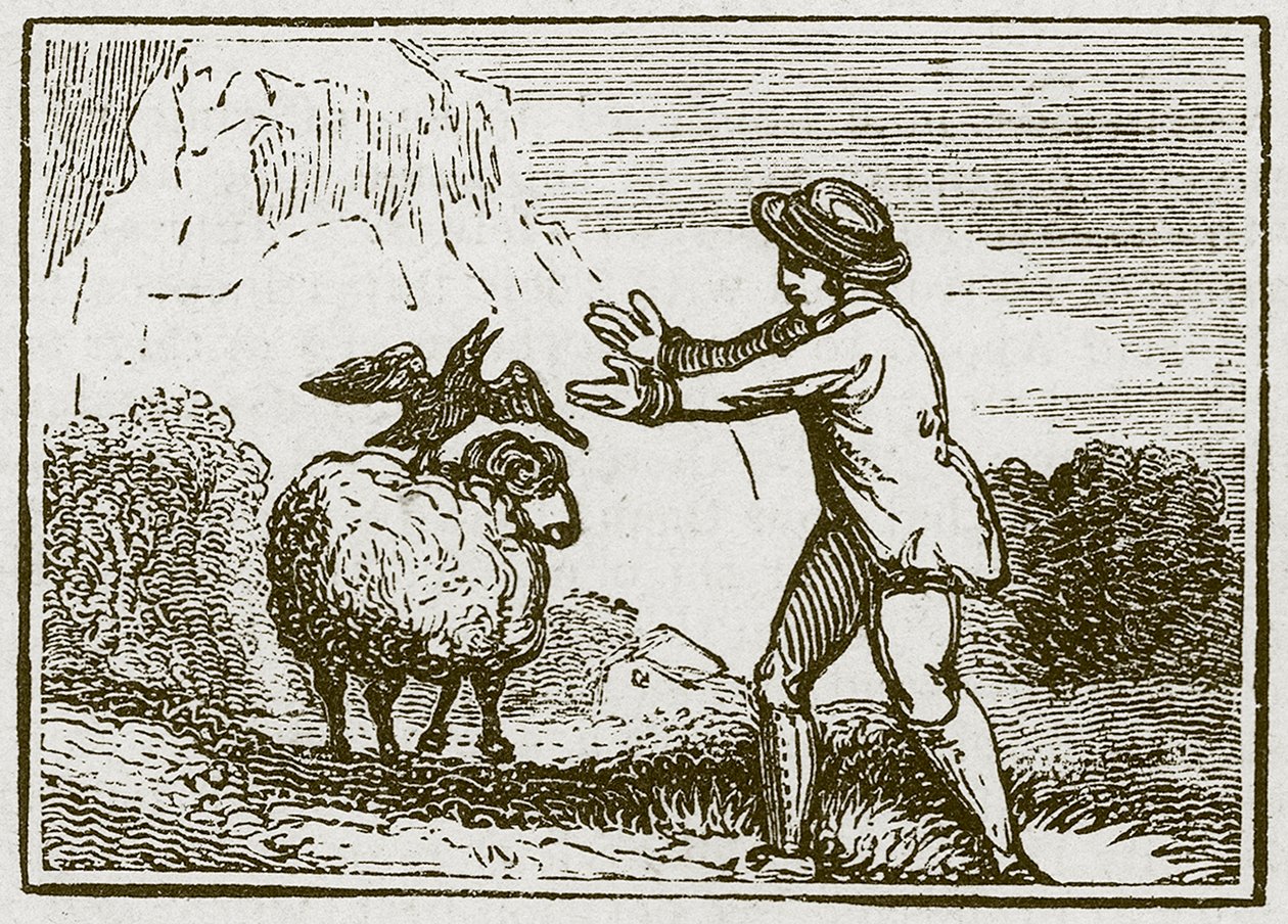 Der Adler und die Krähe (Gravur) von English School