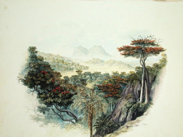 Die Berge, Ceylon von English School