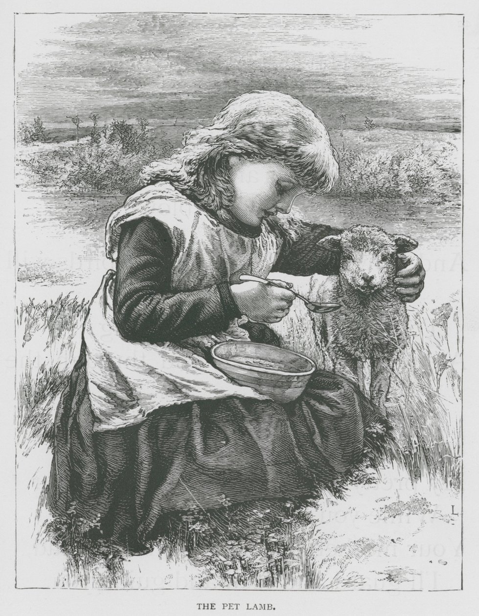 Das Lamm von English School