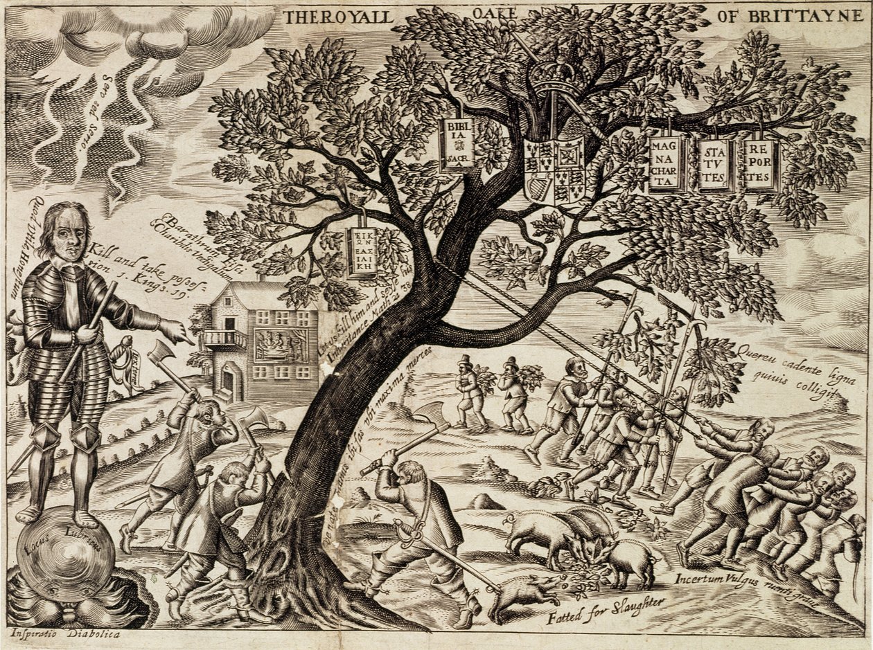 Die Königseiche von Großbritannien, aus 