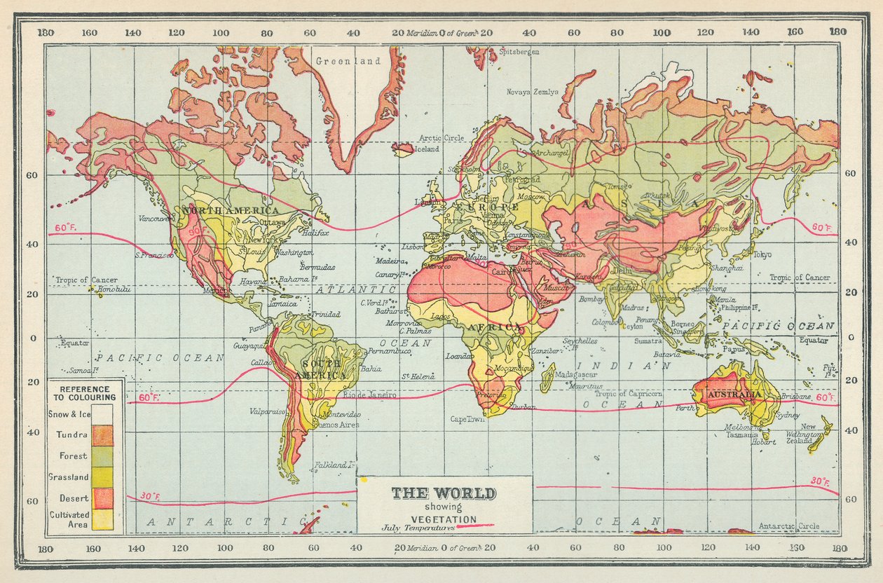 Die Welt zeigt Vegetation von English School