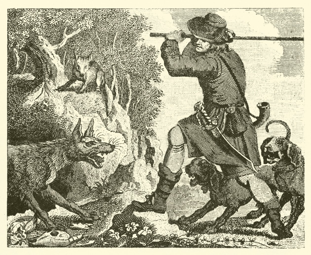 Der Fuchs und der Wolf von English School