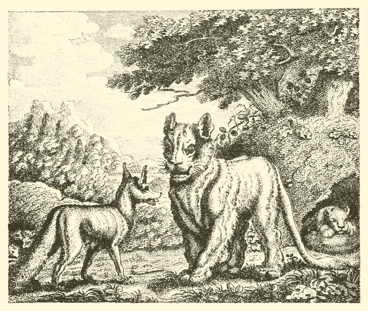Die Löwin und der Fuchs (Gravur) von English School