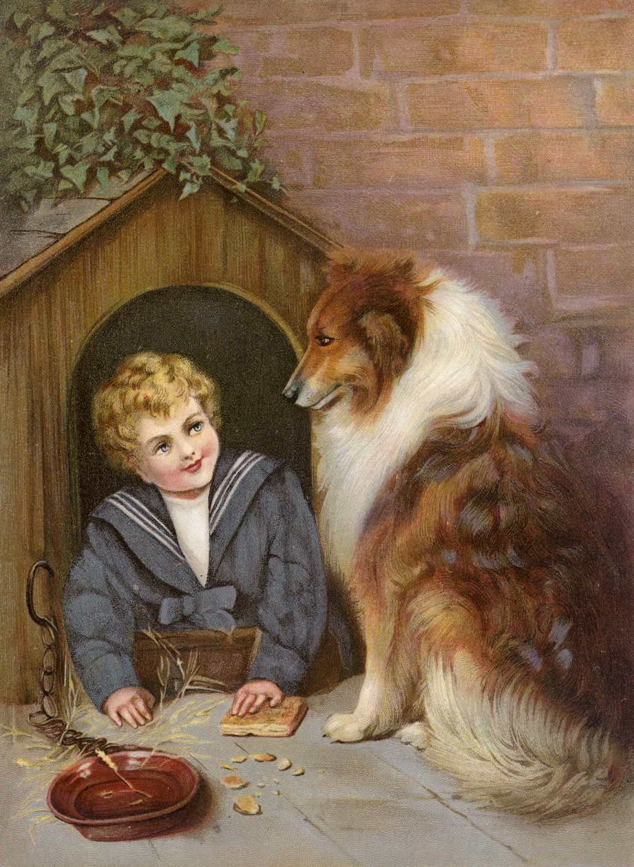 Turned Out - Junge, der vorgibt, ein Collie-Hund zu sein von English School