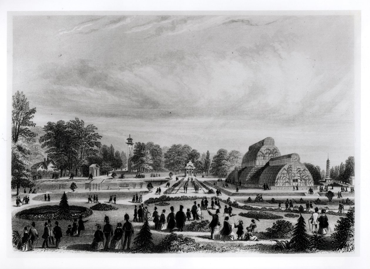 Besucher betrachten das Palmenhaus im Kew Palace, ca. 1860er Jahre von English School