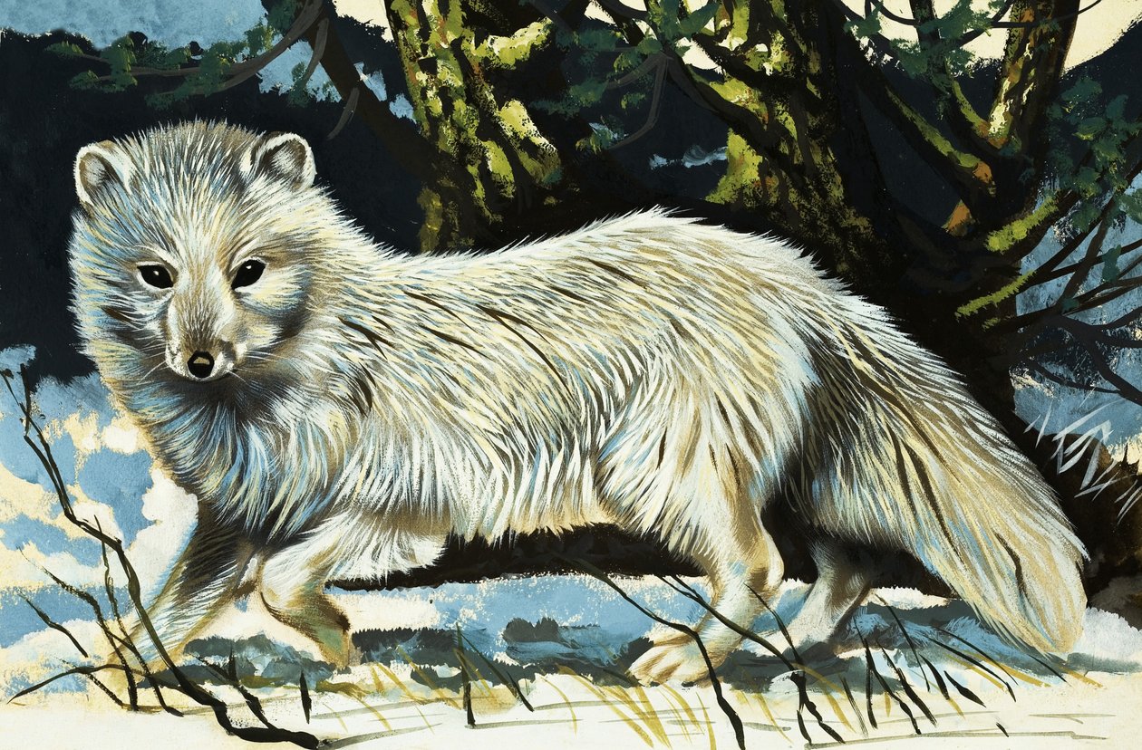 Wolf von English School