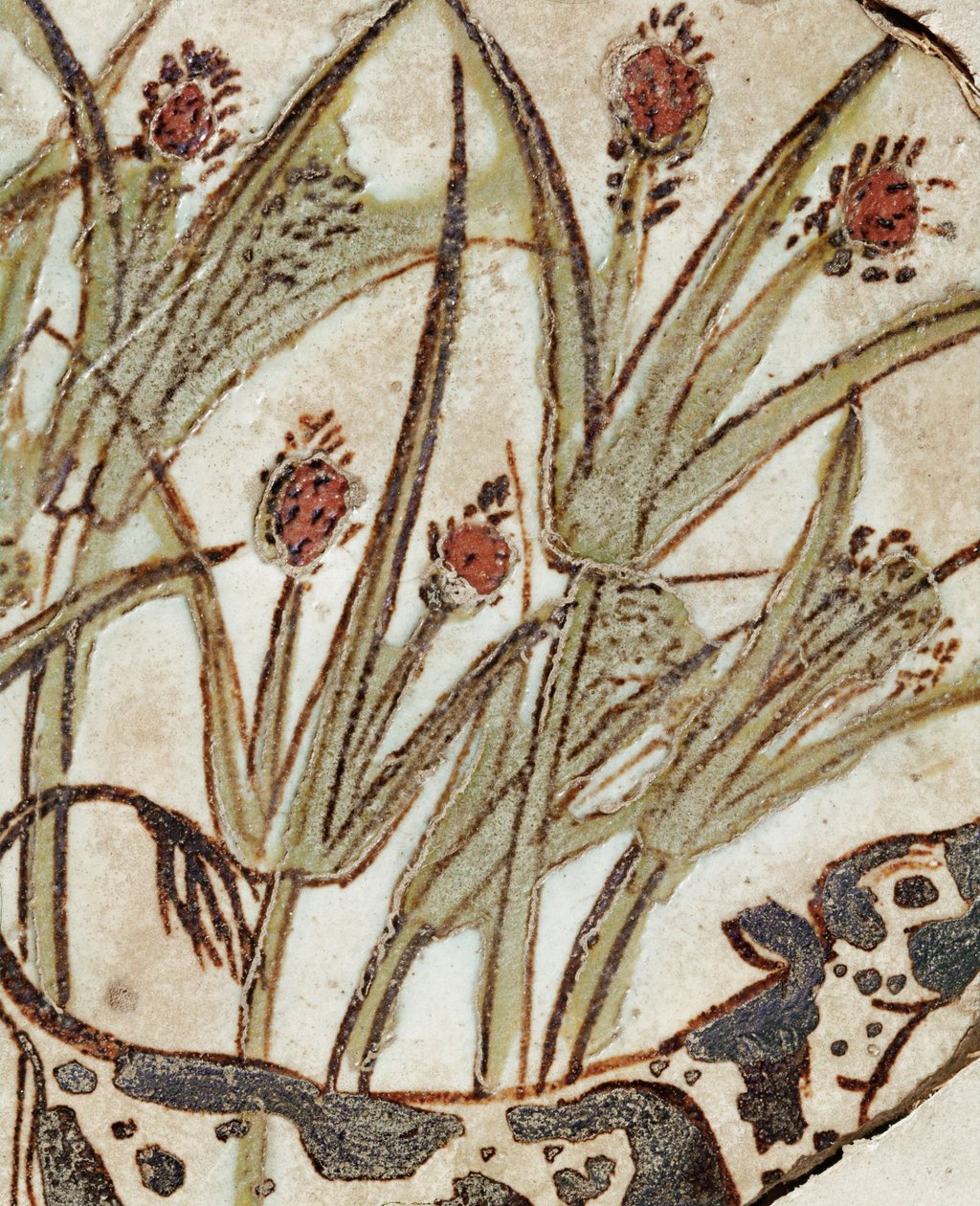 Ein Kalb in einem Papyrusfeld von Erich Lessing