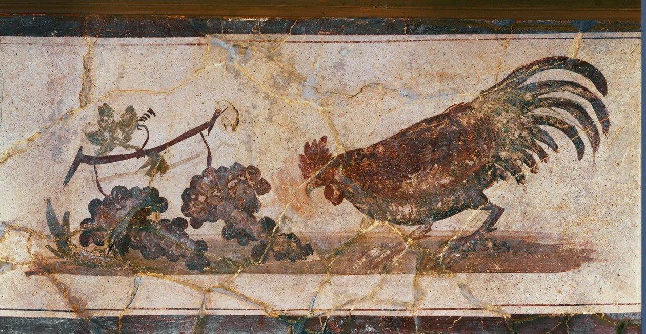 Hahn und Trauben, Herculaneum, Italien von Erich Lessing