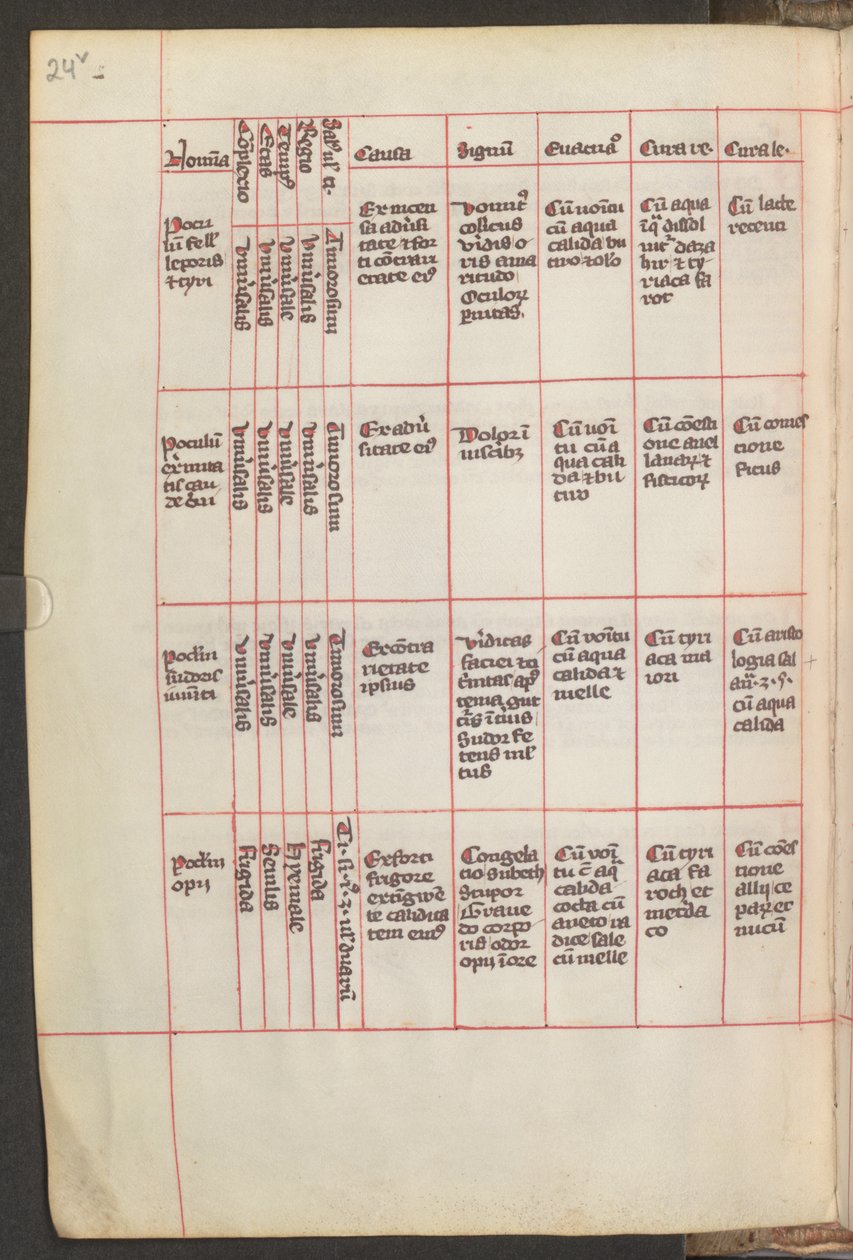 Vollseite: Text von Erich Lessing