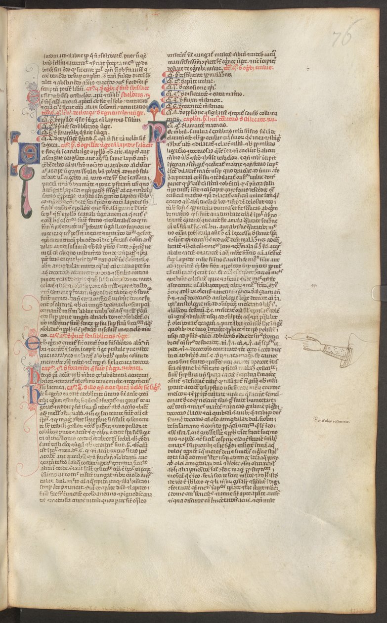 Vollseite: Text mit Initiale von Erich Lessing