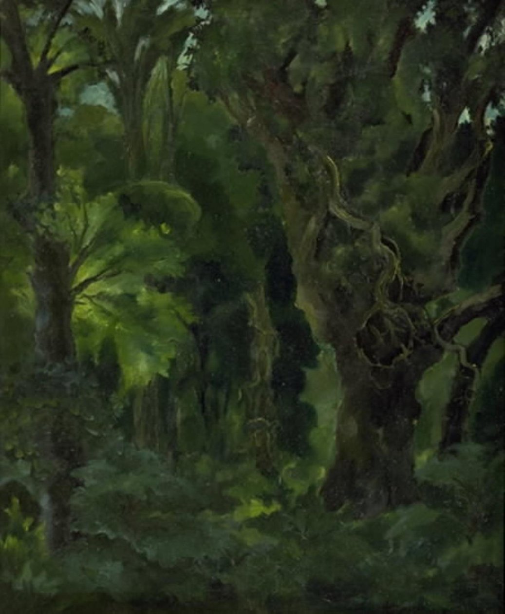 Waldlandschaft. "Der nordische Wald" von Erik Stæhr Nielsen