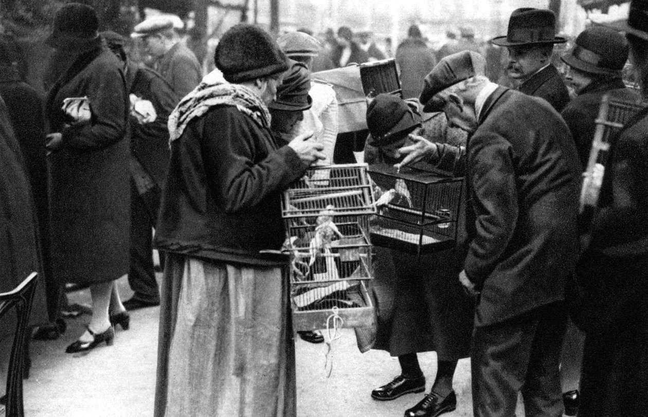 Eine Gruppe von Kanarienkäufern, Paris, 1931 von Ernest Flammarion