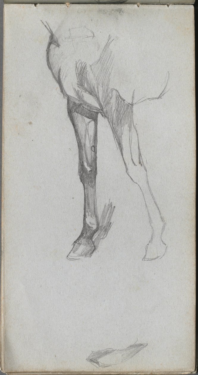 Skizzenbuch, Seite 66: Studie eines Pferdes von Ernest Meissonier