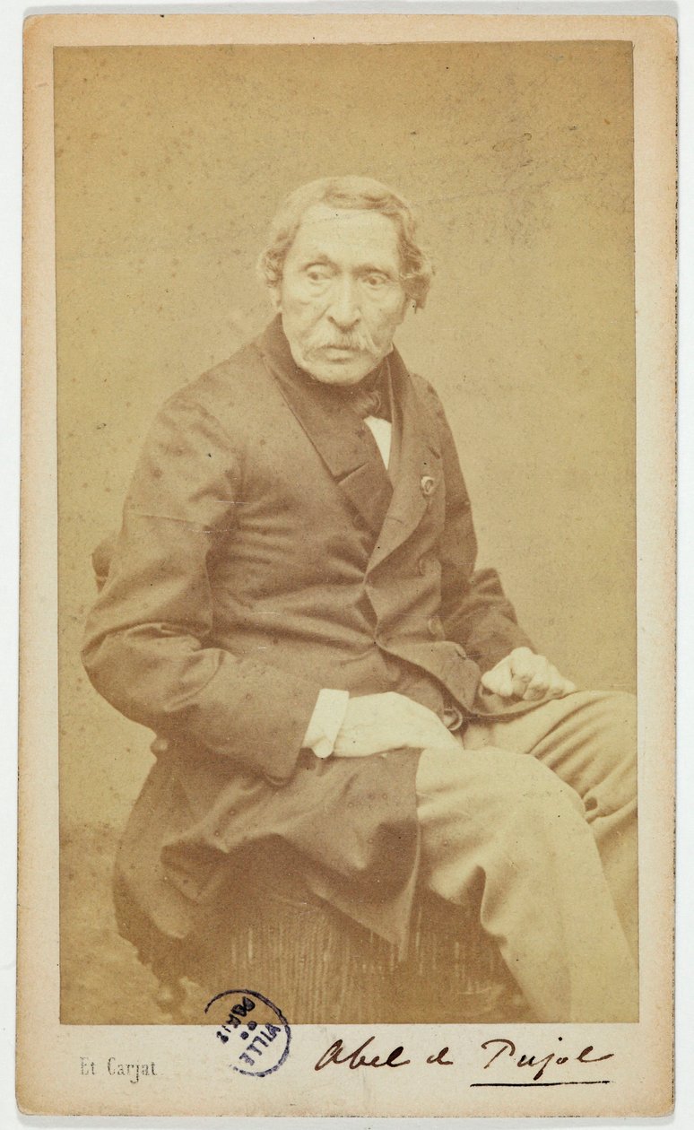 Porträt von Alexandre Denis Abel de Pujol, (Maler) von Etienne Carjat
