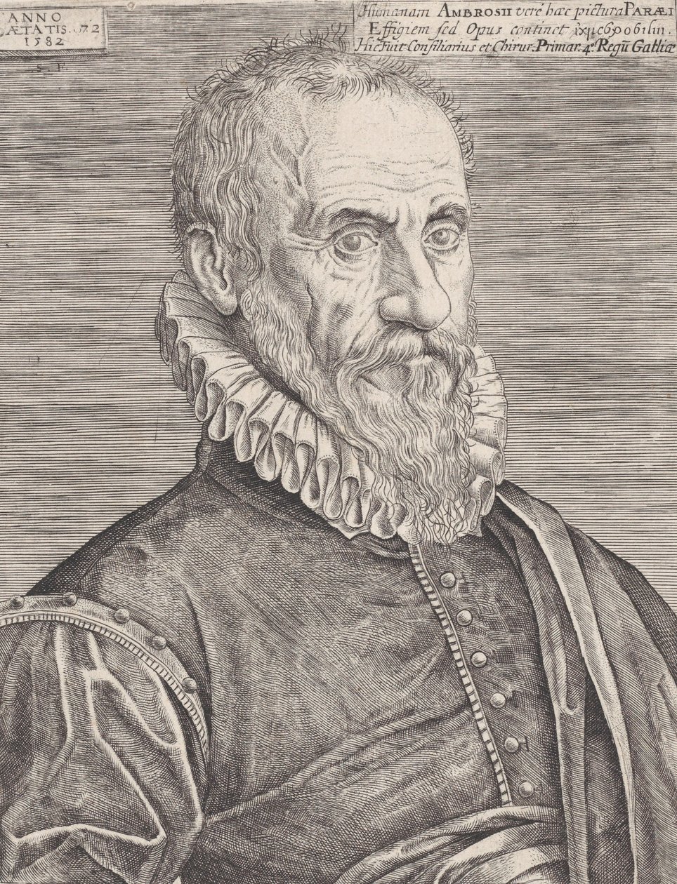 Porträt von Ambroise Paré, dem Chirurgen des Königs, 1582 von Etienne Delaune