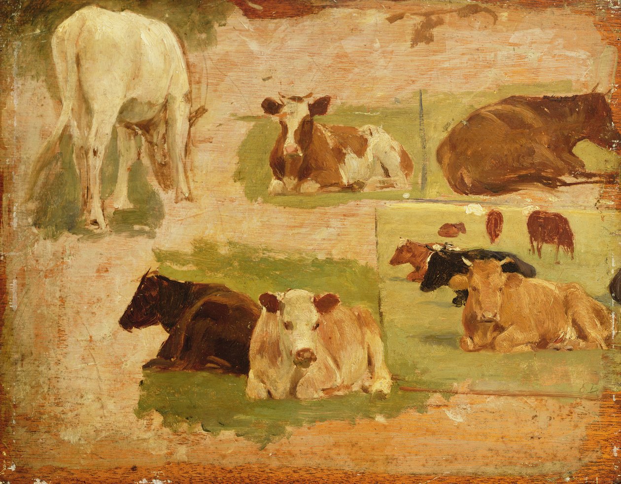 Studie von Kühen von Eugene Louis Boudin