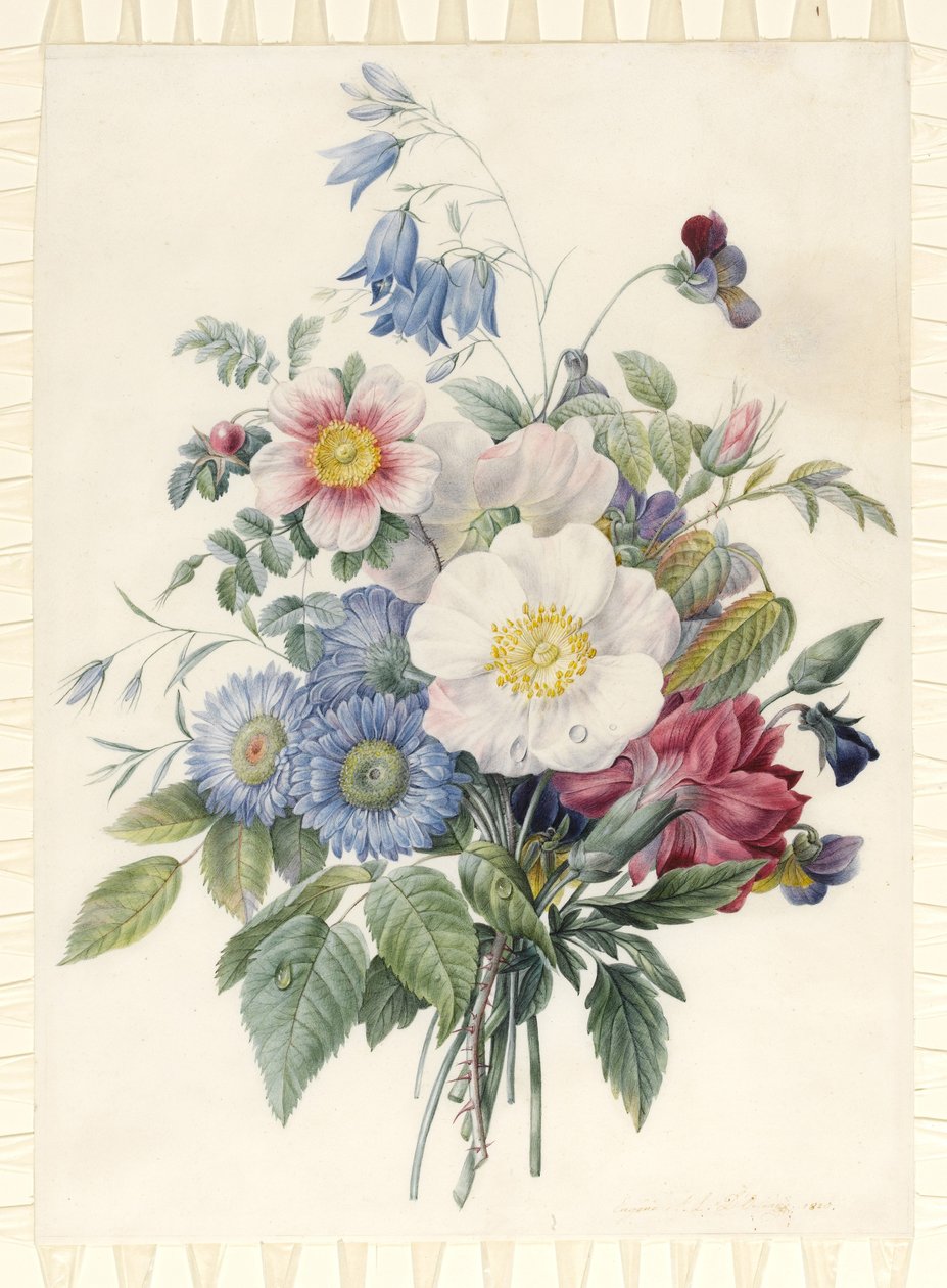 Blaue Astern, Rosa Spinosissima Hybrid, Glockenblume, Veilchen, Nelke und eine Wildrose, 1820 von Eugene A. L. d Orleans