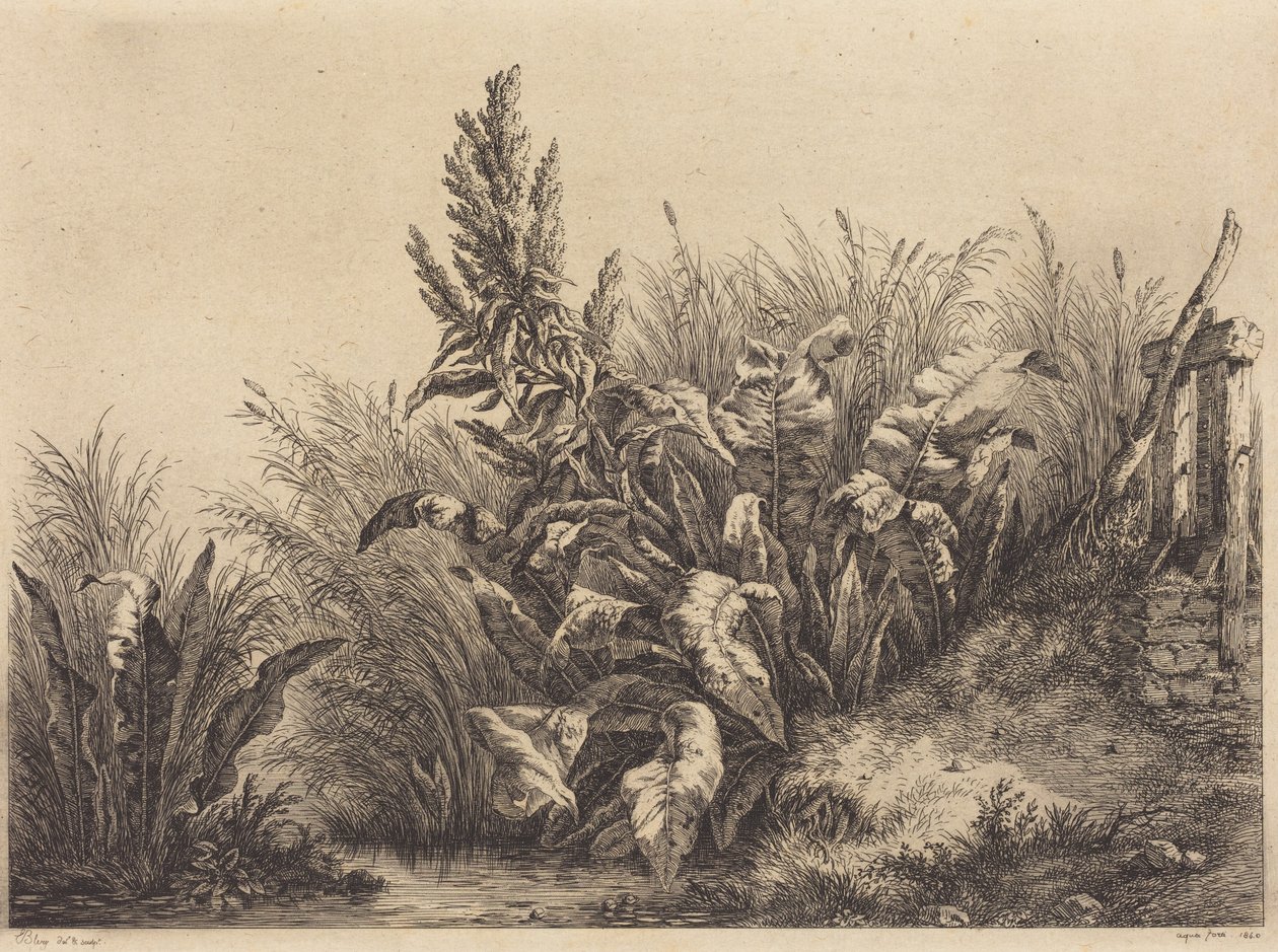 Wasser-Dock von Eugene Bléry