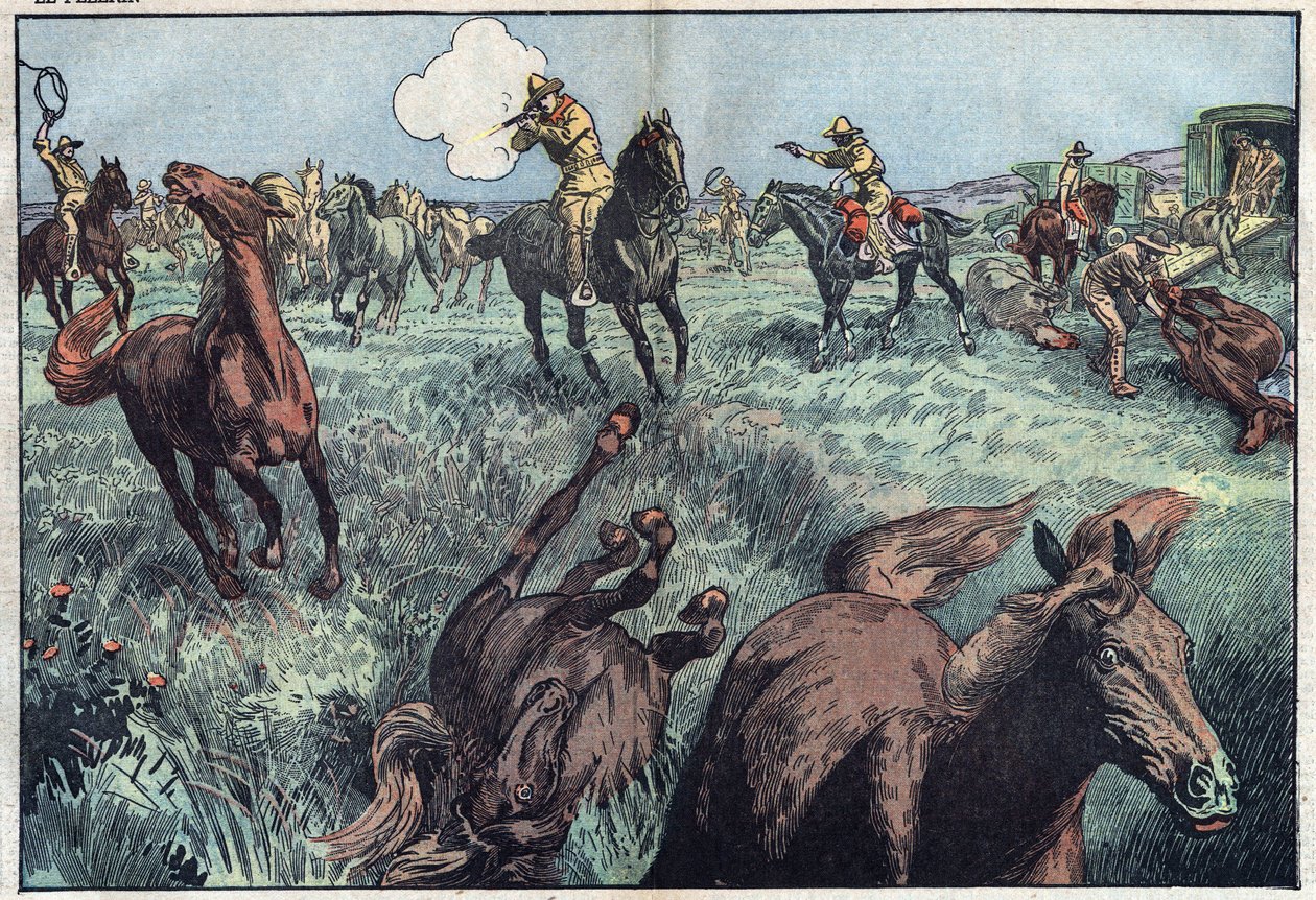 Wilde Pferde werden in den Vereinigten Staaten geschlachtet. Illustration von Damblans. In „Le Pelerin“ vom 31. Januar. von Eugene Damblans