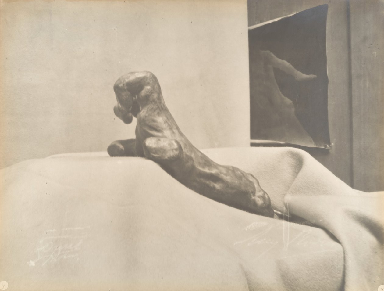 [Auguste Rodins Die geballte Hand], vor 1898 von Eugène Druet