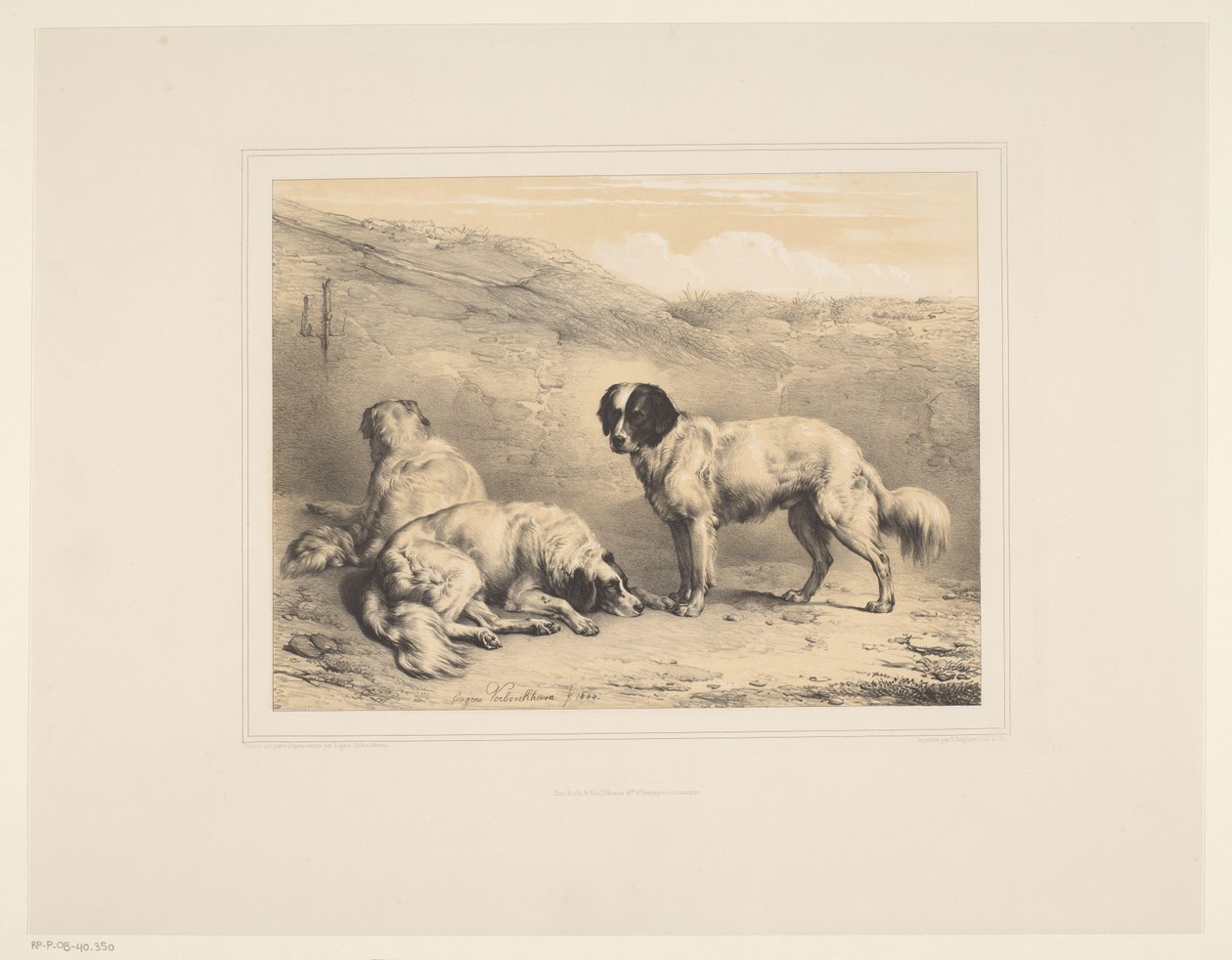 Drei Hunde von Eugène Verboeckhoven