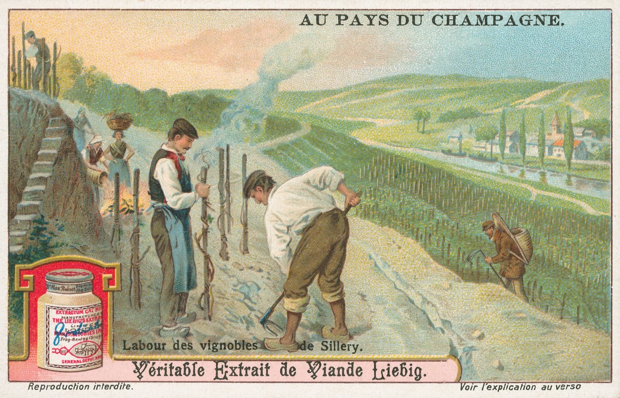 Champagner, Liebig-Karte, frühes 20. Jahrhundert von European School