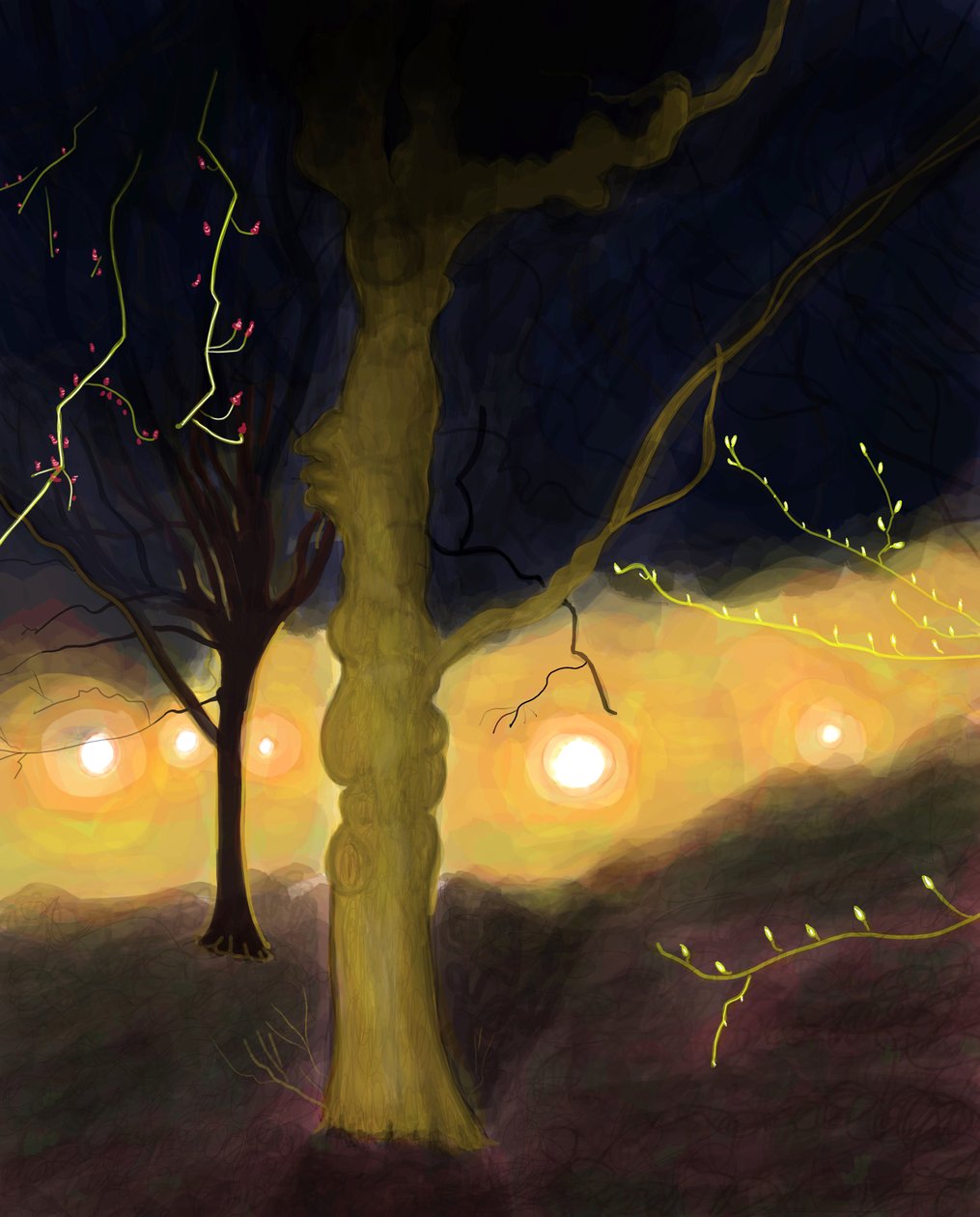 5:20 Uhr morgens, Prospect Park, Brooklyn von Evan Sklar