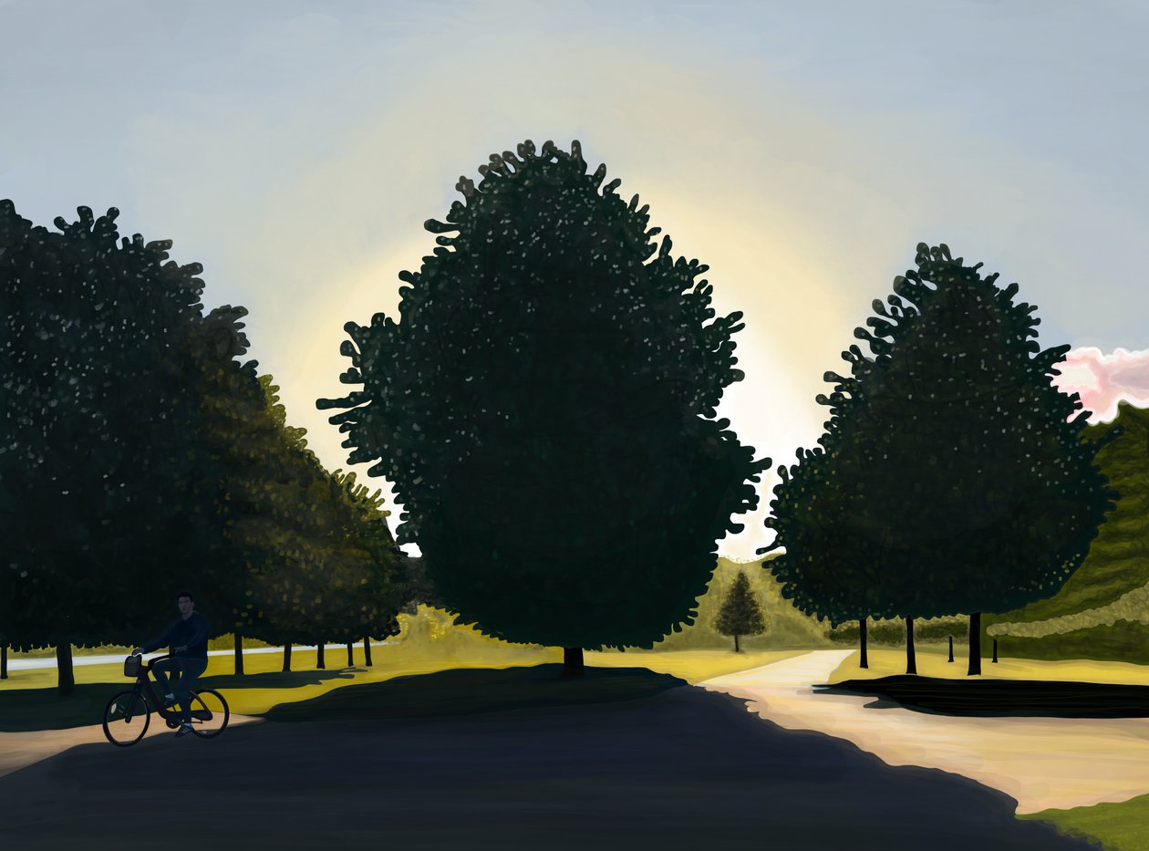 Radfahrer, Morgendämmerung, Hyde Park von Evan Sklar