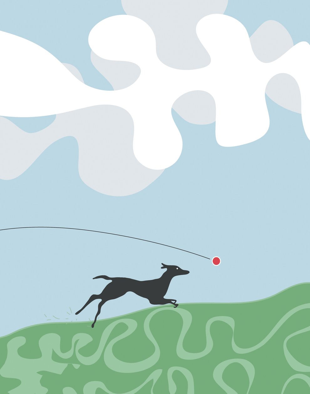 Hund jagt einen Ball, 2015 von Evan Sklar