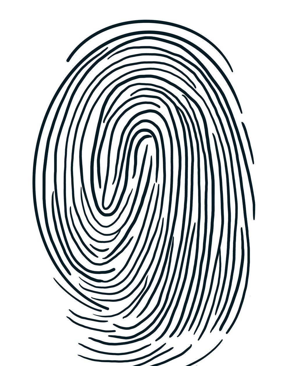 Zeichnung eines Fingerabdrucks Brooklyn von Evan Sklar