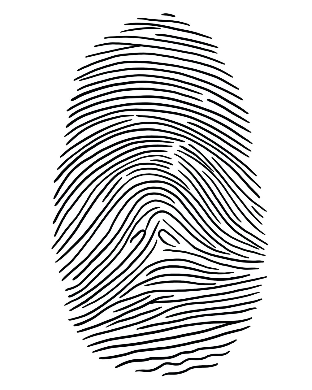 Zeichnung eines Fingerabdrucks Brooklyn von Evan Sklar