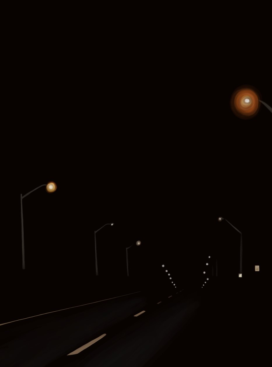 Fahrt auf der Straße bei Nacht #2 Brooklyn von Evan Sklar