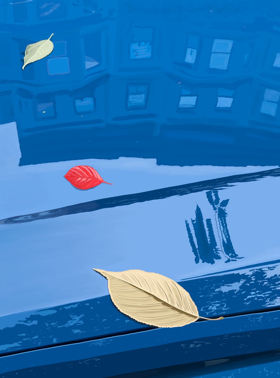 Gefallene Blätter auf blauem Auto, Brooklyn von Evan Sklar