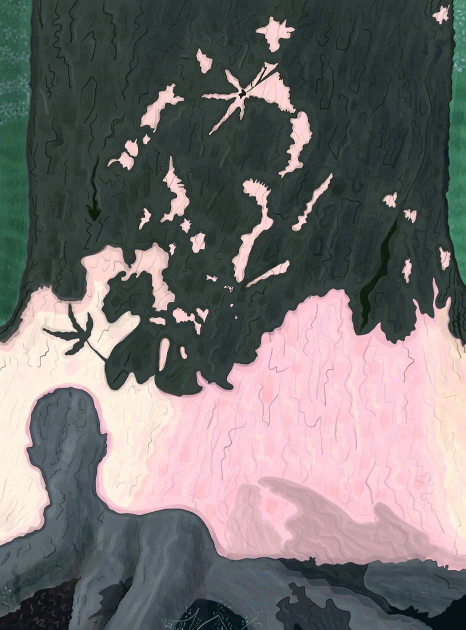 Mein Schatten auf Baum, Brooklyn von Evan Sklar
