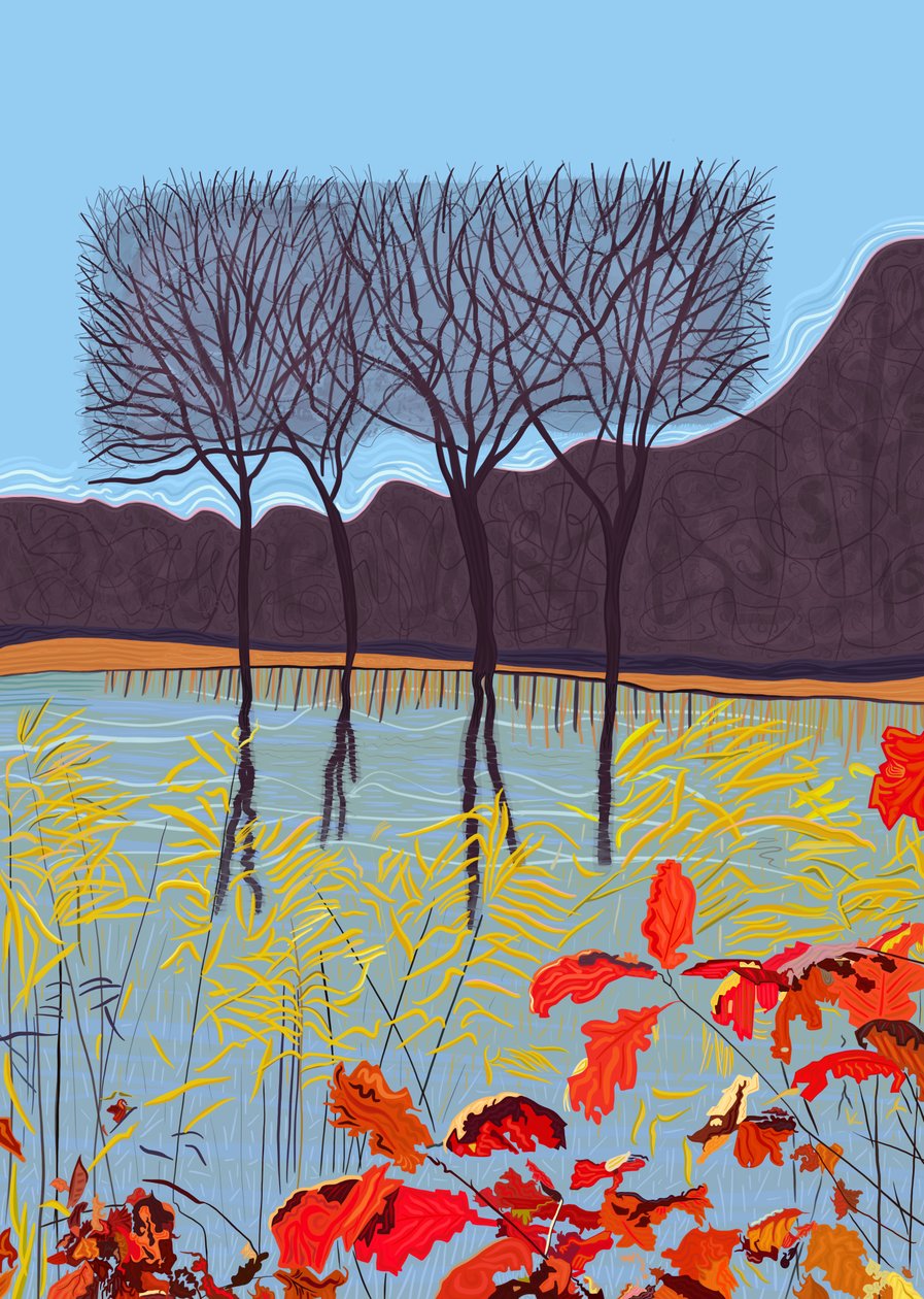 Teich und Bäume im Herbst von Evan Sklar