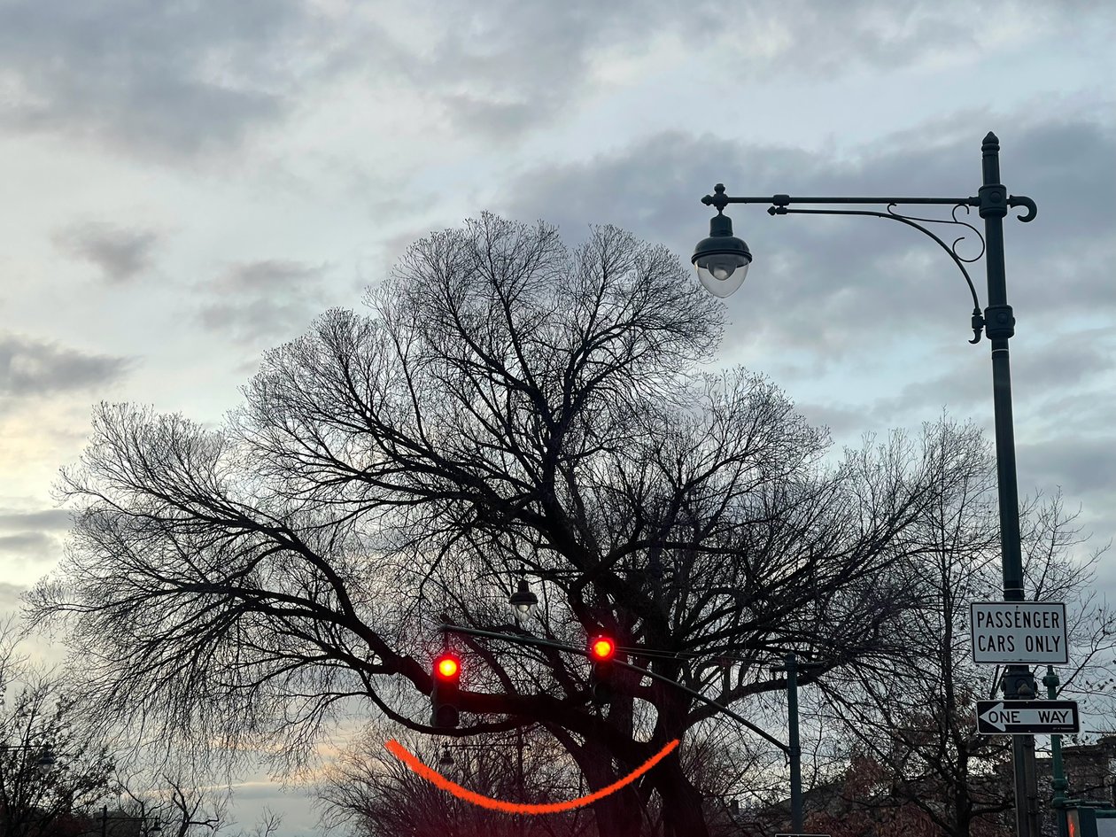 Lächelnder Baum und Ampeln. Brooklyn von Evan Sklar