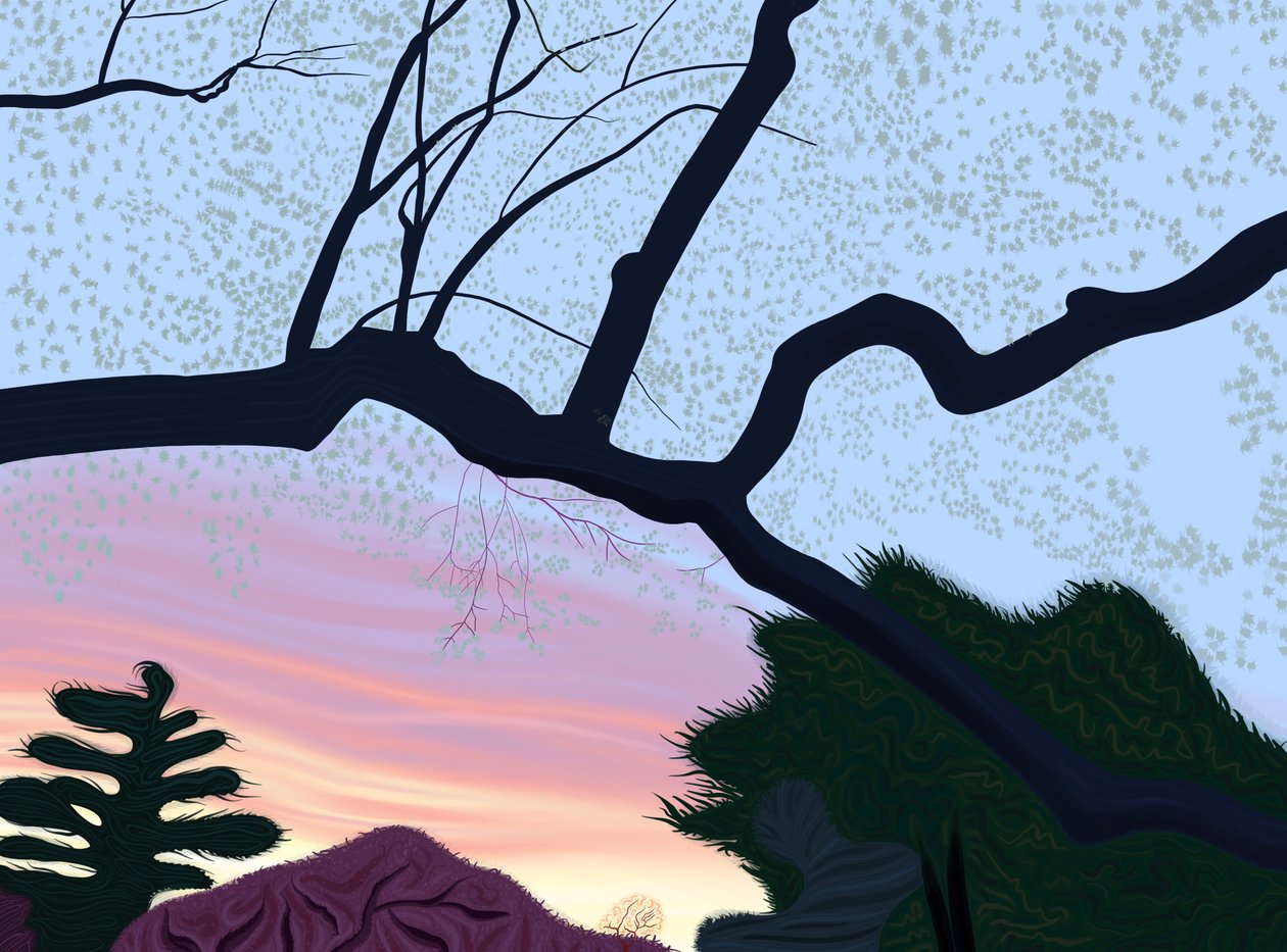 Frühling, Prospect Park von Evan Sklar